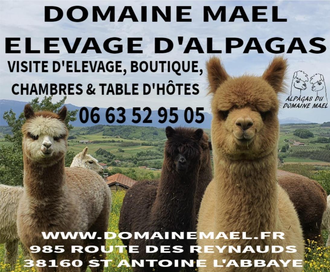 Alpagas Du Domaine Mael Bed & Breakfast Saint-Antoine  Exterior photo