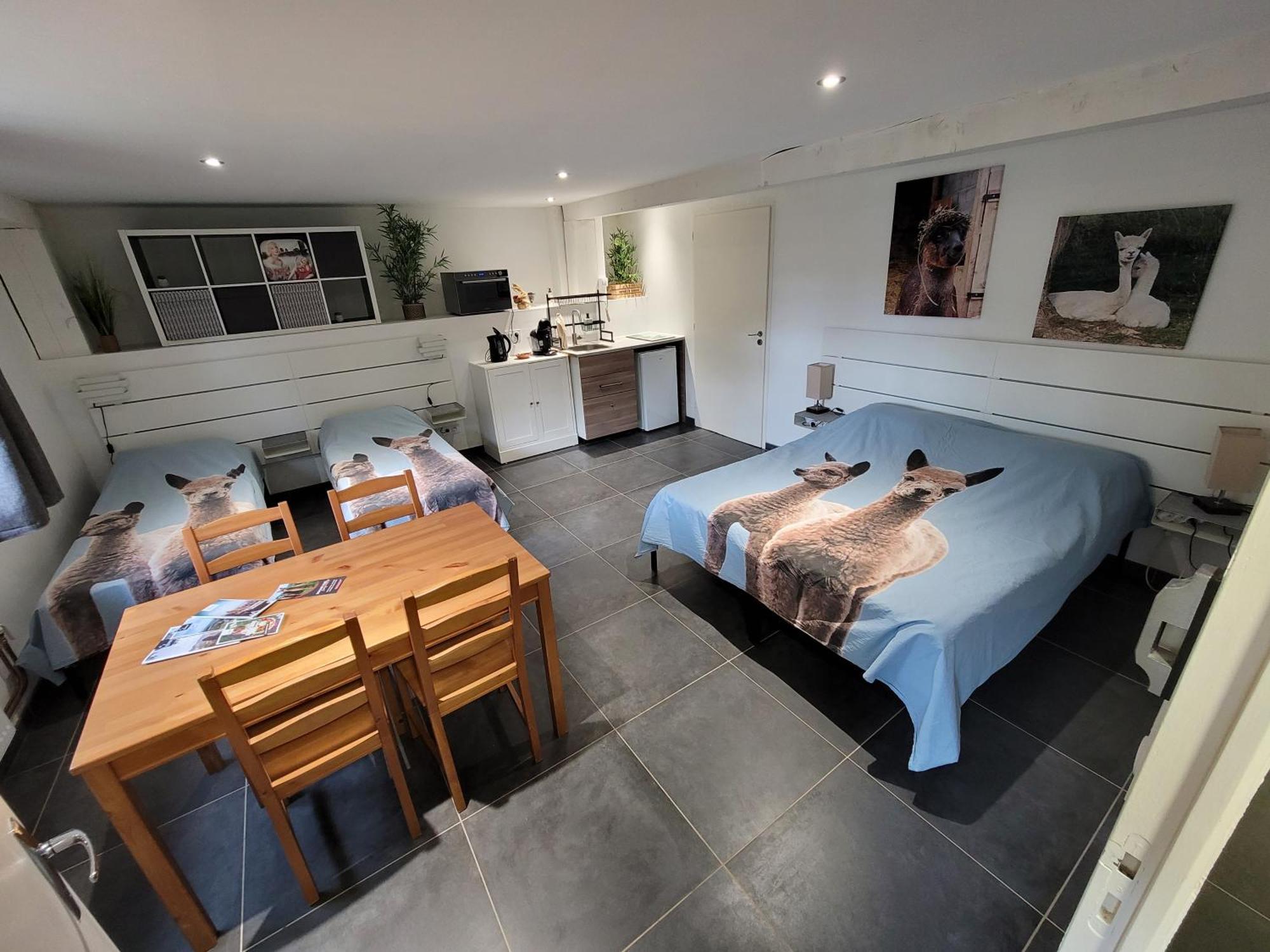 Alpagas Du Domaine Mael Bed & Breakfast Saint-Antoine  Exterior photo